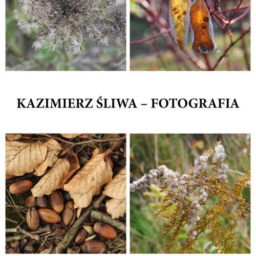 plakat B1_page-0001 (1)